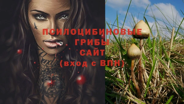спайс Осинники