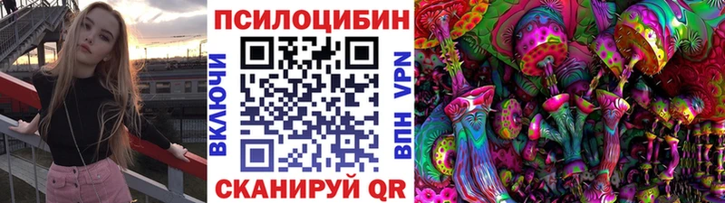 Галлюциногенные грибы Cubensis  mega tor  Сланцы 